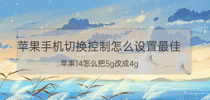 苹果手机切换控制怎么设置最佳 苹果14怎么把5g改成4g？